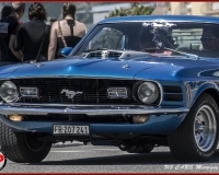 TSR Watermark - 0643